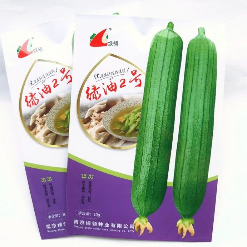 基地专用油皮丝瓜种籽耐褐变肉厚味浓商品性好结果多丝瓜种籽