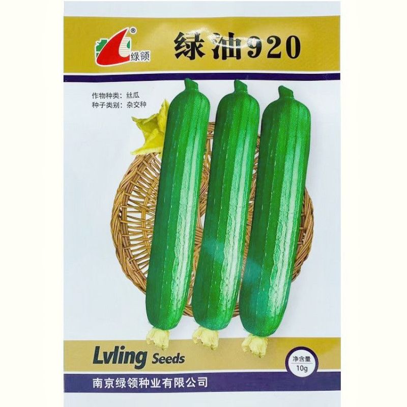 基地专用油皮丝瓜种籽耐褐变肉厚味浓商品性好结果多丝瓜种籽