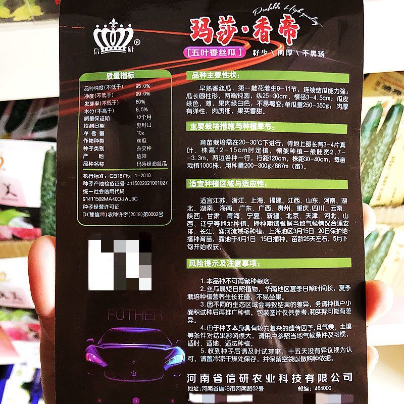 基地专用油皮丝瓜种籽耐褐变肉厚味浓商品性好结果多丝瓜种籽