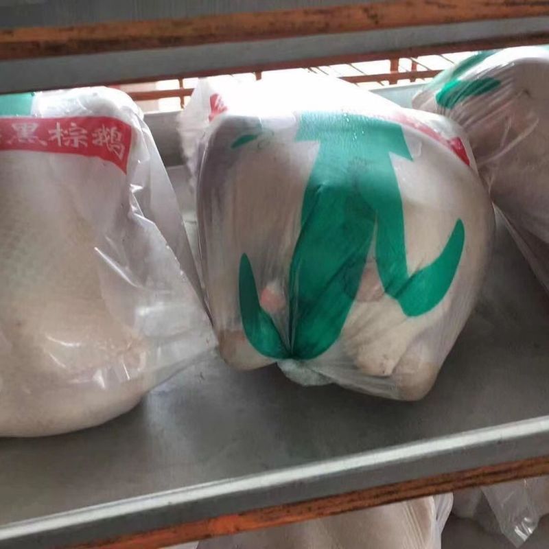 广东黑棕鹅白条鹅现发现发净膛整鹅酒店烧腊卤鹅专用鹅