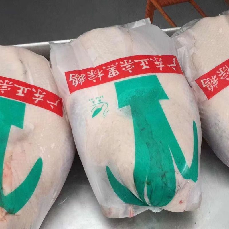 广东黑棕鹅白条鹅现发现发净膛整鹅酒店烧腊卤鹅专用鹅