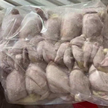 扒皮鹌鹑80/90克左右10万只