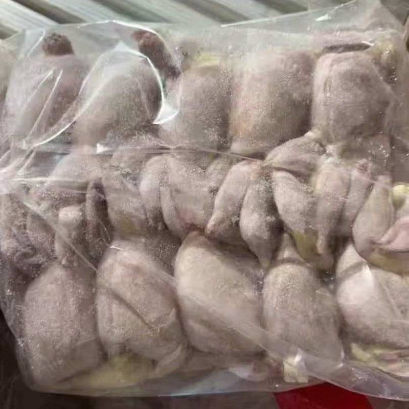 扒皮鹌鹑80/90克左右10万只