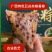 五谷杂粮粽传统手工粽子绿豆板栗猪肉馅