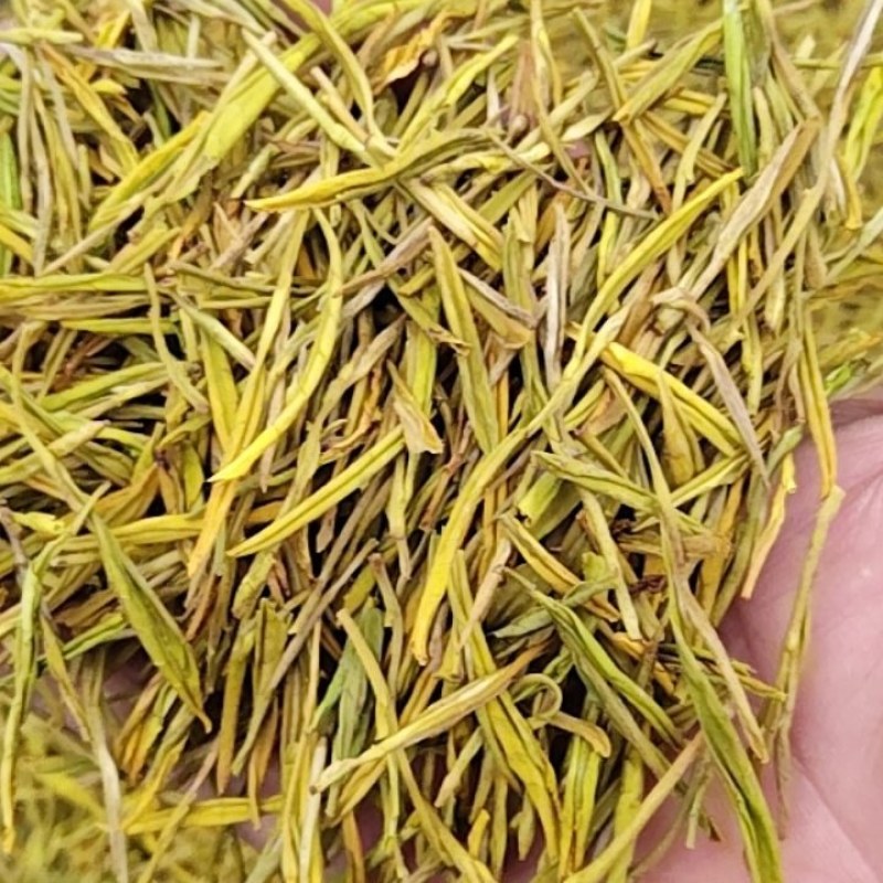 黄金芽