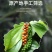 椒老伯海南黑白胡椒粒组合带研磨器正宗现磨特纯正胡椒粉家用