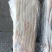 猪食管猪红肠一箱20斤75条左右纯干，质量好价格低厂家直