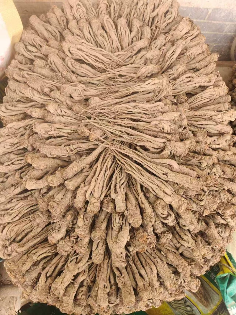 甘肃岷县当归/产区直发/货源充足/大量现货