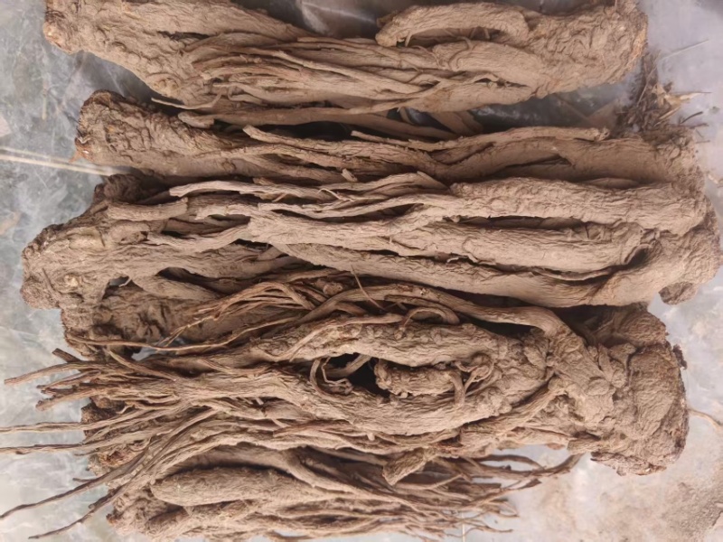 甘肃岷县当归/产区直发/货源充足/大量现货