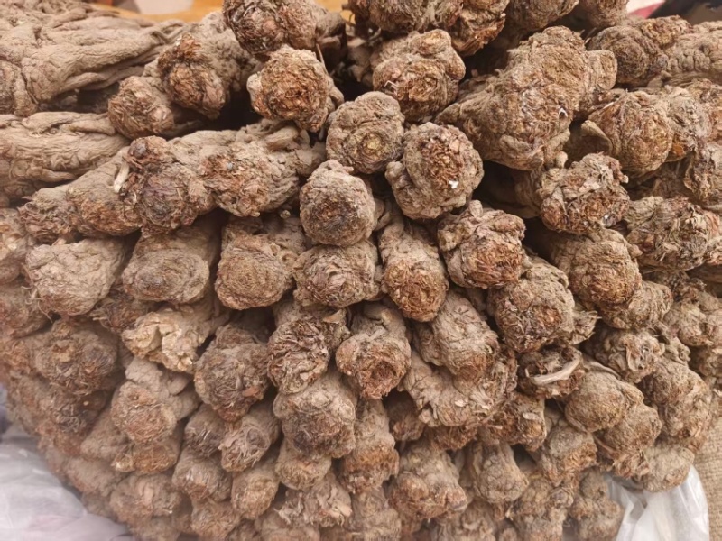 甘肃岷县当归/产区直发/货源充足/大量现货