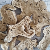 白术无硫，有各种规格量大从优，欢迎新老客户前来购买。