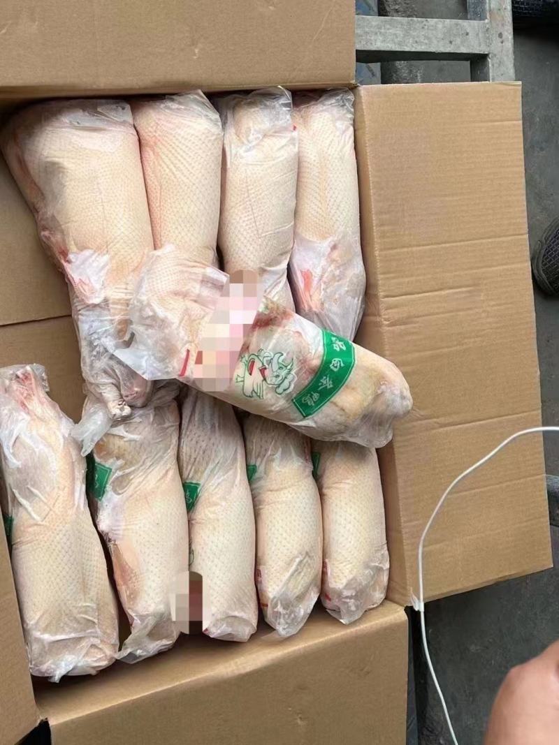 白条鸭，规格齐全，量大可议价
