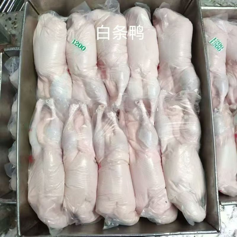 白条鸭，规格齐全，量大可议价