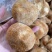 猴头菇干货无硫新货煲汤食材散装批发