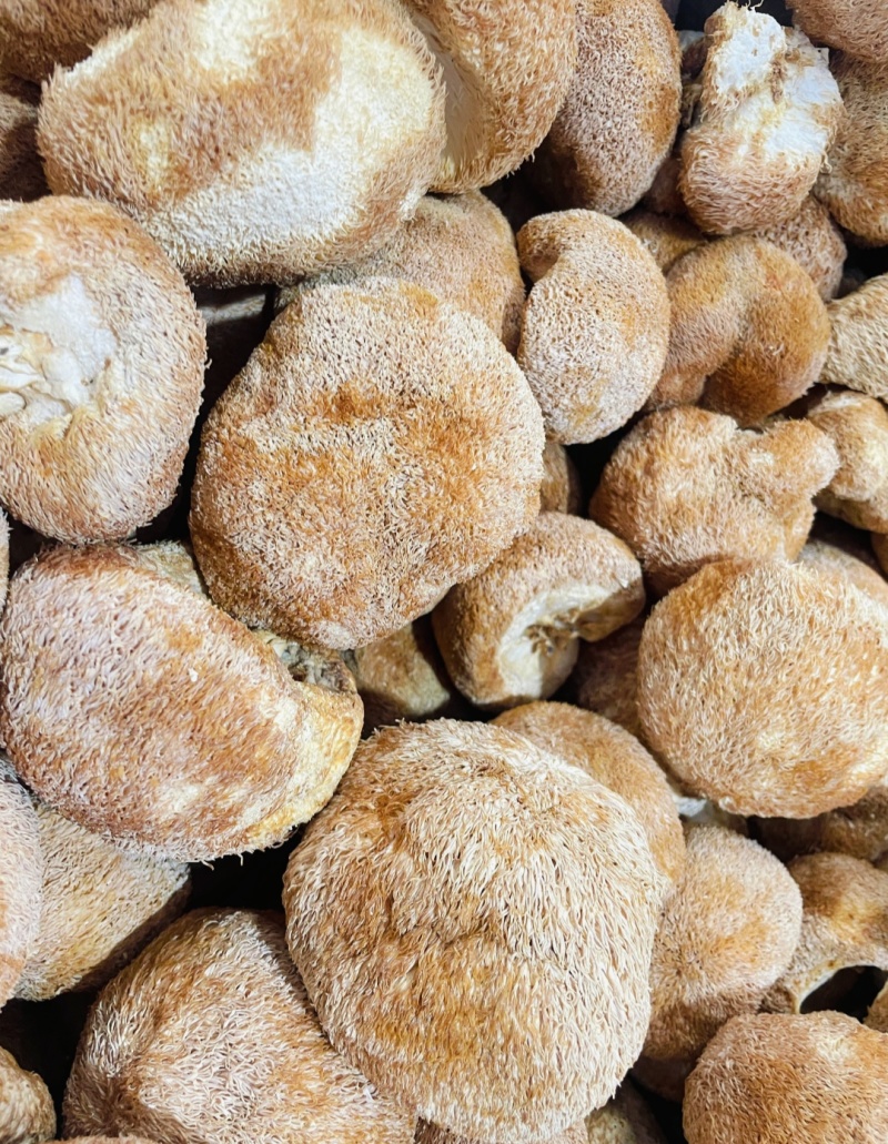 猴头菇干货无硫新货煲汤食材散装批发