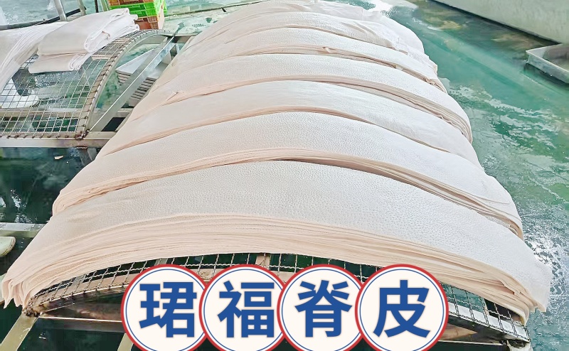 猪脊皮，猪皮，脊皮，精修去油去毛无章