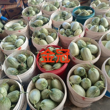 新乐贺红义果蔬货站