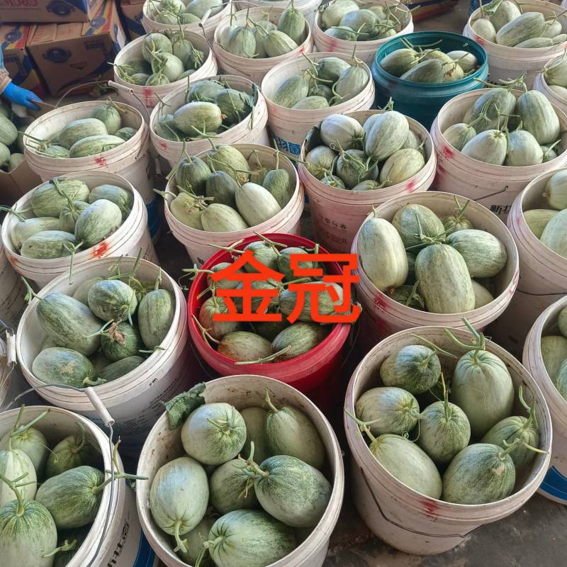 新乐贺红义果蔬货站