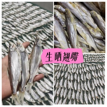 生晒翘嘴鱼干刁子鱼干风干餐条江西特产干货地摊电商批发