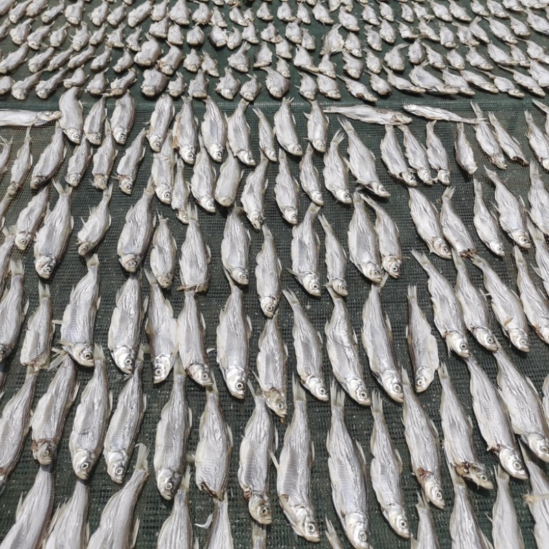 生晒翘嘴鱼干刁子鱼干风干餐条江西特产干货地摊电商批发