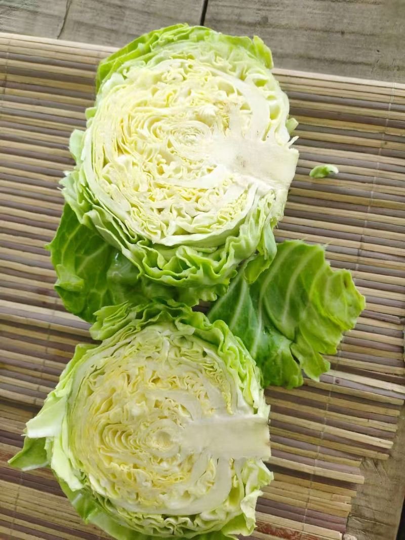 【推荐】圆包菜/产地直发/视频看货/对接商超批发市场