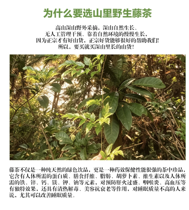 井冈山野生藤茶又名莓茶基地支持各位老板批发零售一件代发