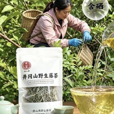 井冈山野生藤茶又名莓茶基地支持各位老板批发零售一件代发