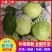【推荐】精品奶油芭乐白心番石榴产地直发软糯香甜欢迎咨询