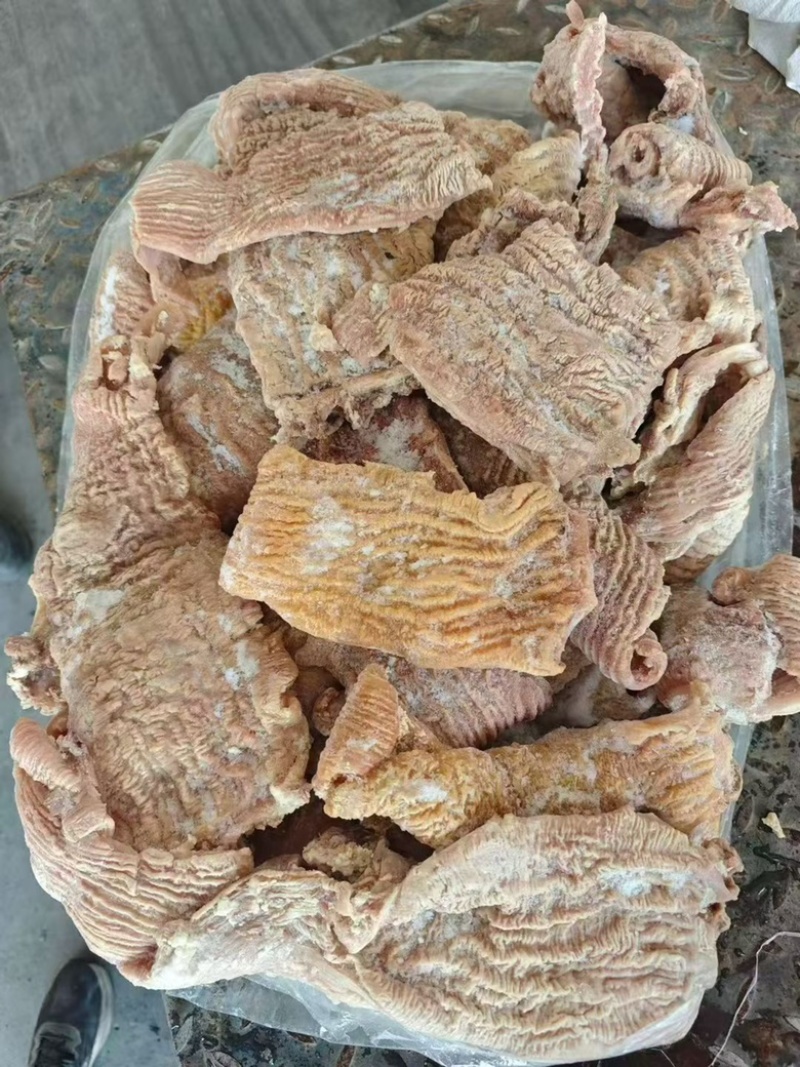 牛碗口育肥的