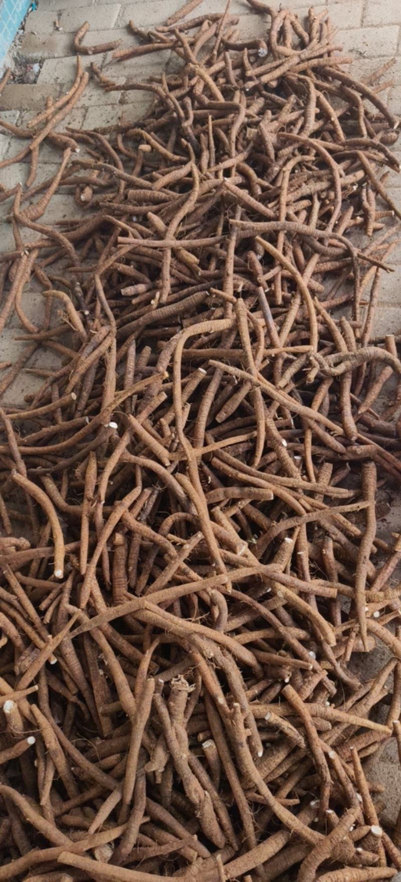 新鲜牛大力，小小牛规格，8元一斤，如图。中指至母指大。