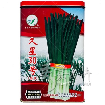 久星30号韭菜种子