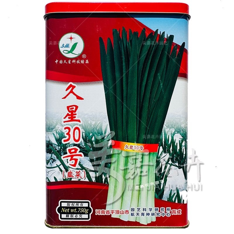 久星30号韭菜种子