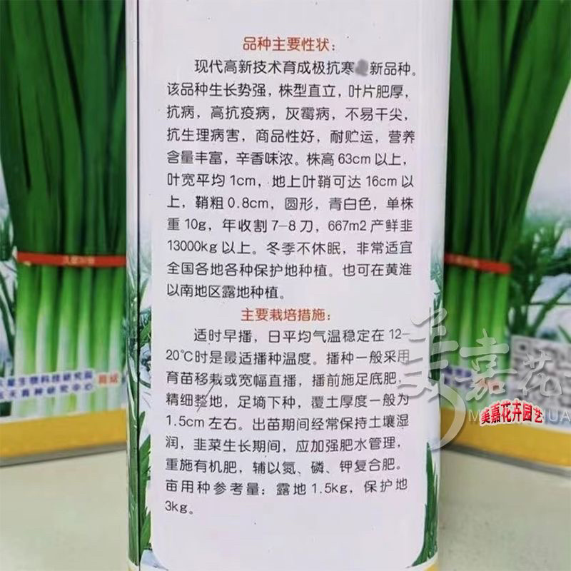 久星30号韭菜种子