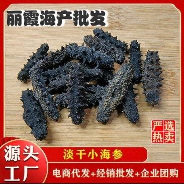 淡干海参干货，辽刺参海参，非即食海参，厂家批发，欢迎来电