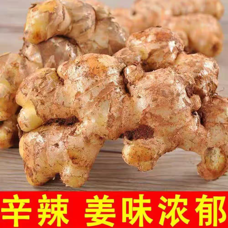 （云南小黄姜）一件代发/电商货源/淘宝，抖音，团购发货
