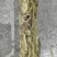 沙虫原料一件10斤