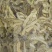 沙虫原料一件10斤