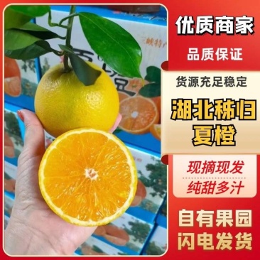 【秭归夏橙】一手货源，产地直发出口资质齐全票证一致