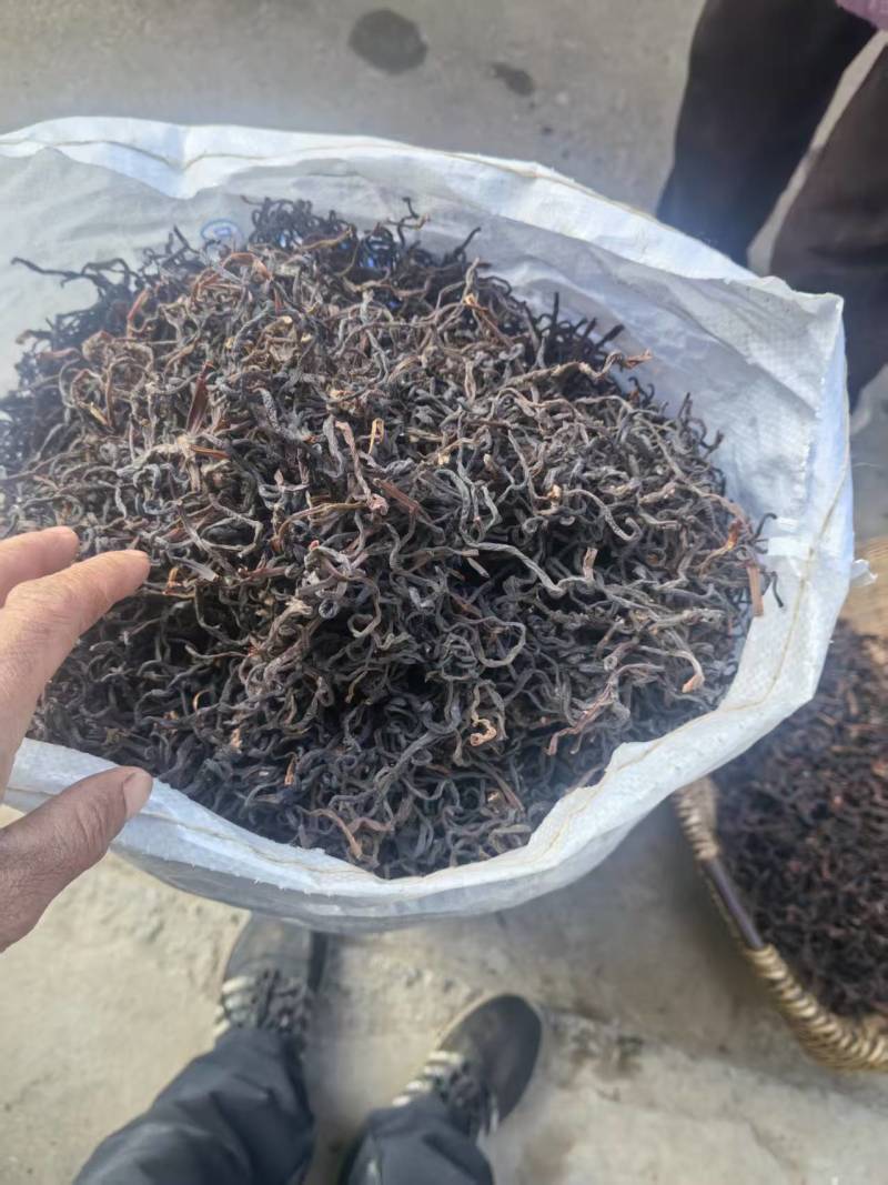 红薇菜/凉山薇菜/大量现货供应/保质保量/电联价格可谈