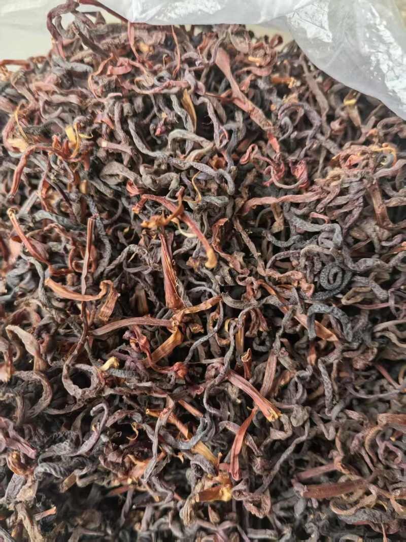 红薇菜/凉山薇菜/大量现货供应/保质保量/电联价格可谈
