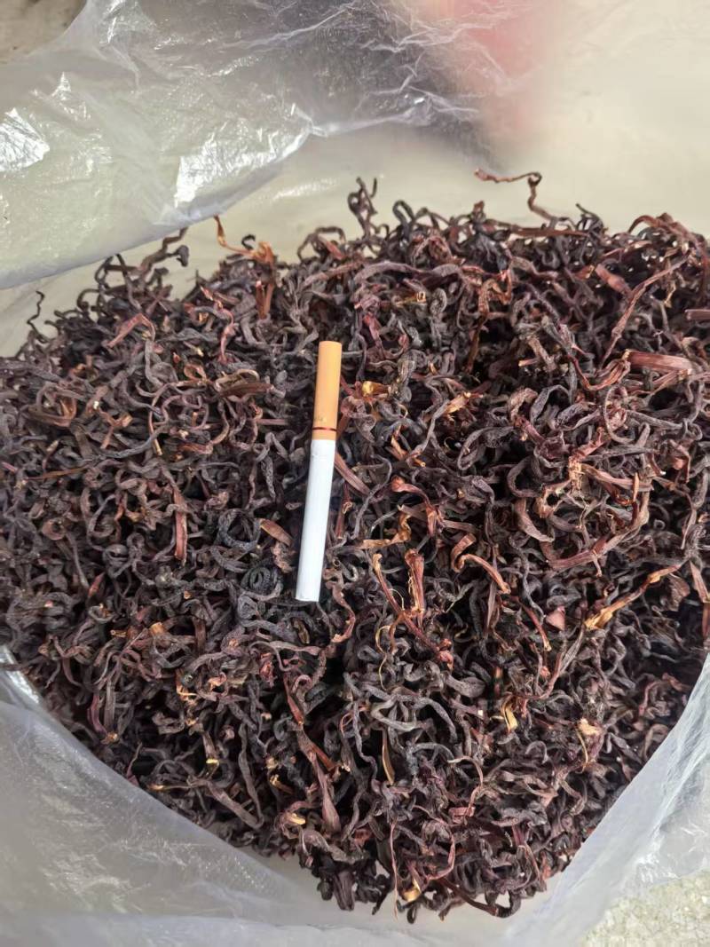 红薇菜/凉山薇菜/大量现货供应/保质保量/电联价格可谈