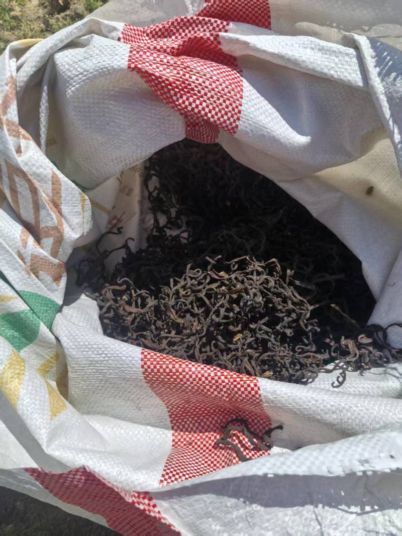 红薇菜/凉山薇菜/大量现货供应/保质保量/电联价格可谈