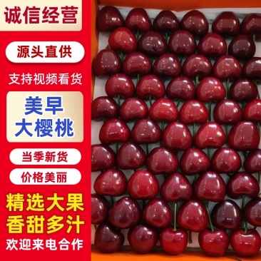 美早大樱桃/基地直发/货源充足/大量有货