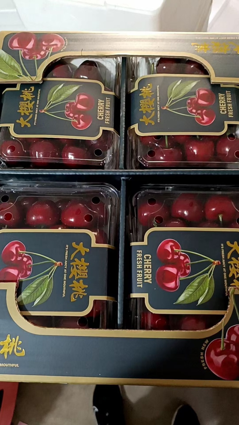 美早大樱桃/基地直发/货源充足/大量有货