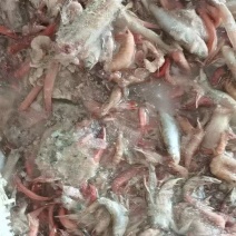 各种饲料鱼都