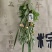端午节艾草花束