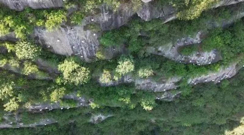 土蜂蜜崖蜜波美度42以上产地直发人工采摘保质保
