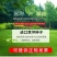 批发草坪种子，护坡草种子，四季青草籽包邮