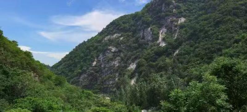 百花蜜，产地直发，大量资源，人工采摘，批发零售