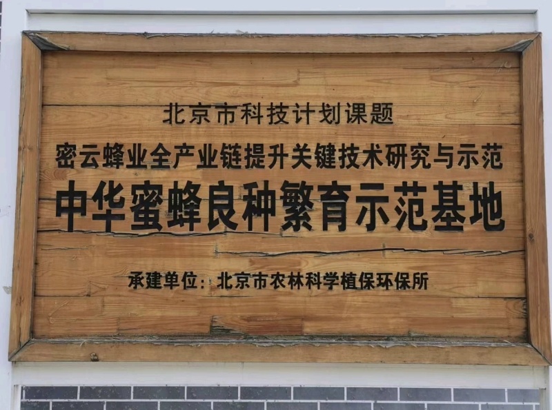 百花蜜，产地直发，大量资源，人工采摘，批发零售